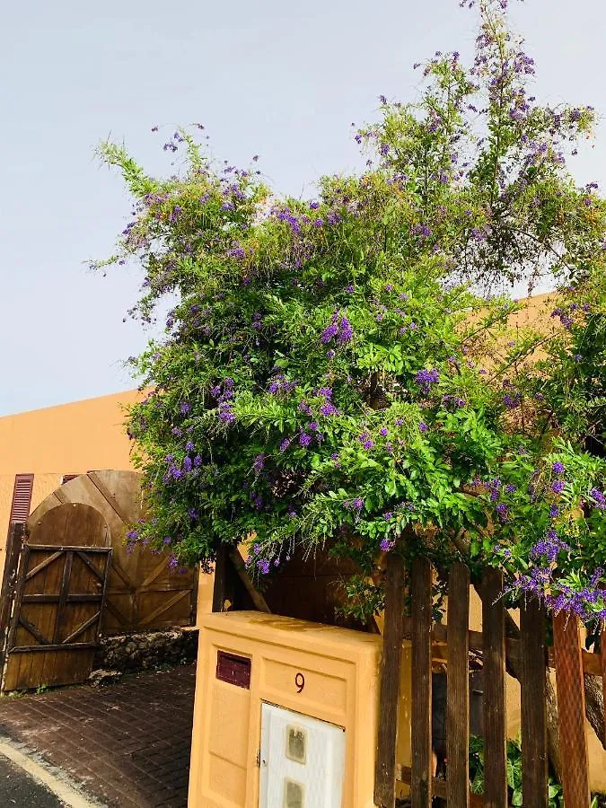 Casa Natalia Villa Corralejo