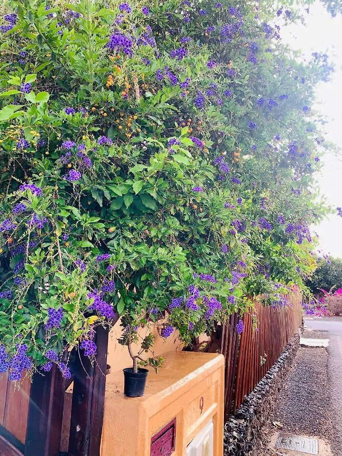 Casa Natalia Villa Corralejo 0*,  Spain